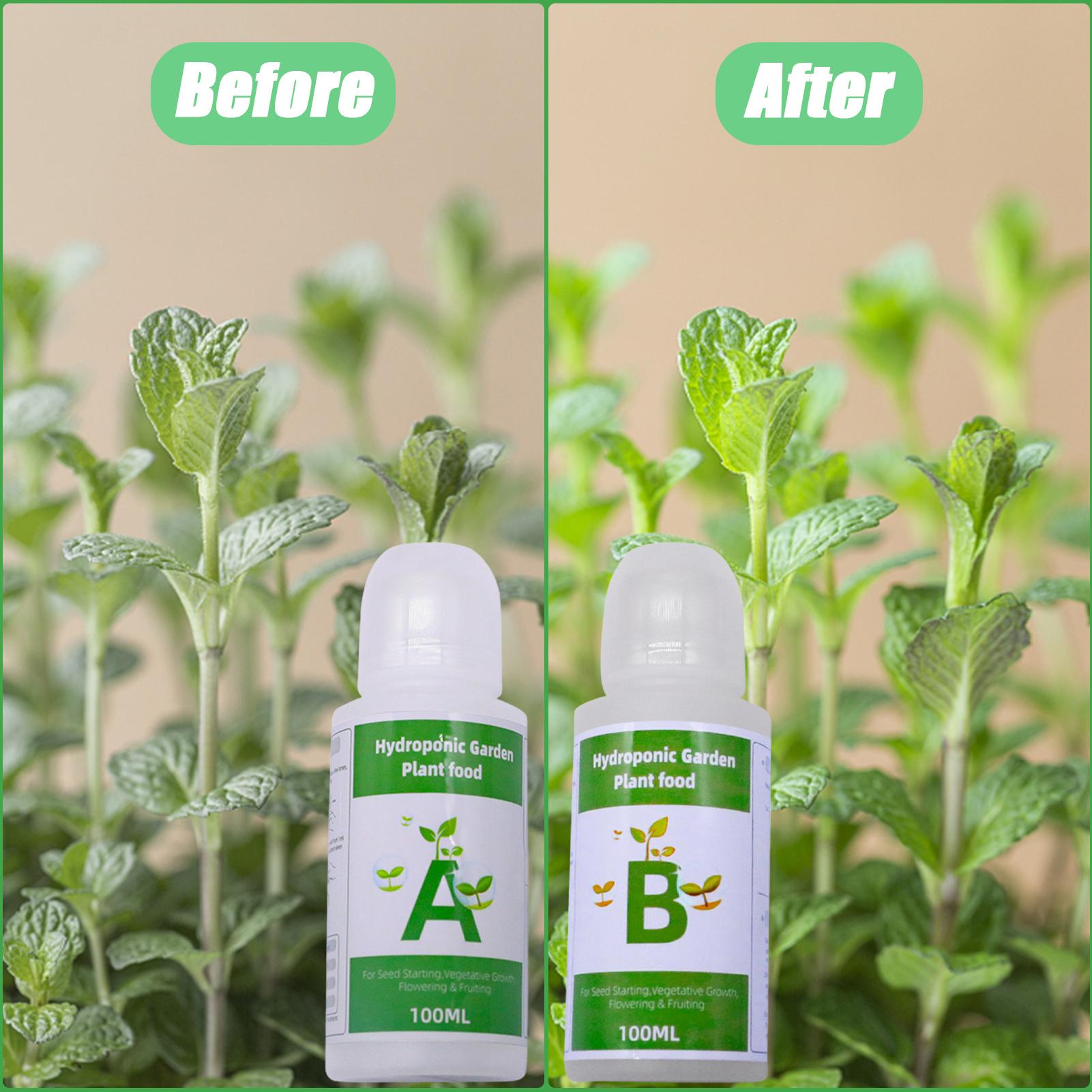Nutrient Solution Ab - Hydroponische Nährstoffe, Düngemittel, AB-Lösungsset, Pflanzennahrung für