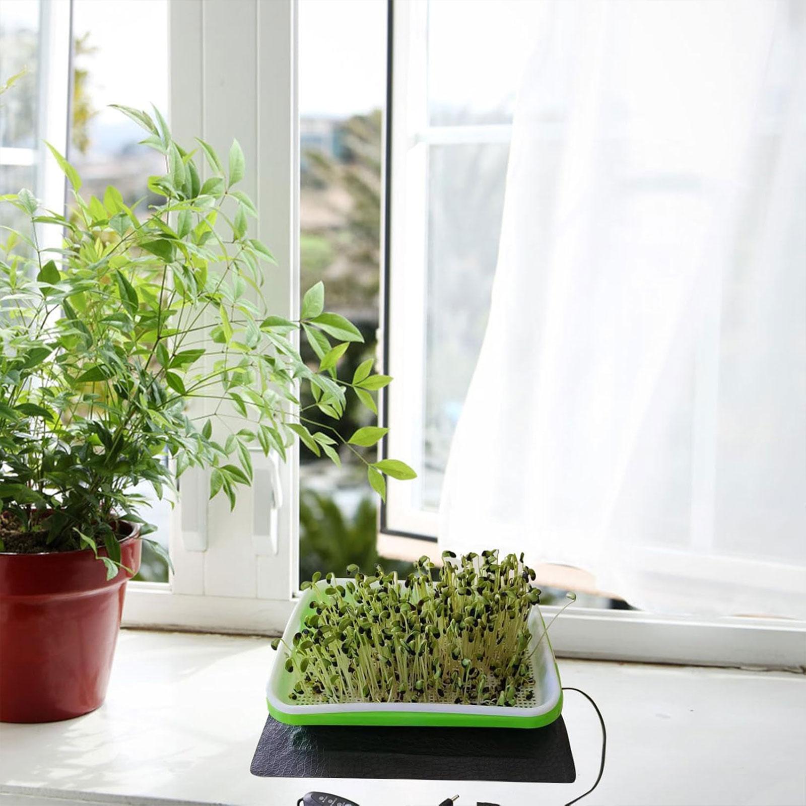 Hydroponische Heizmatte für Sä – Seedling Heat Pad Bewertung und Preis